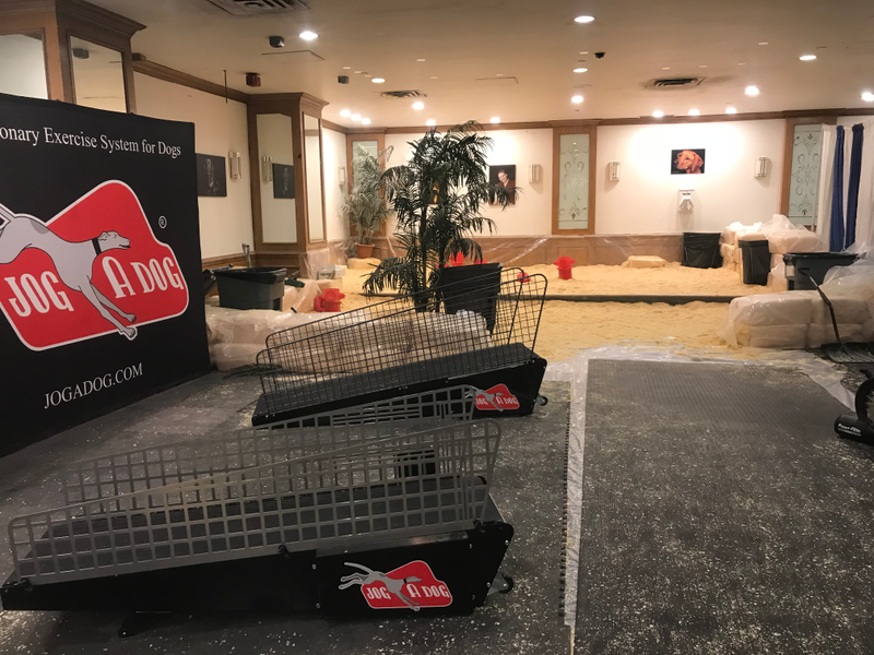 Dog treadmills at the hotel